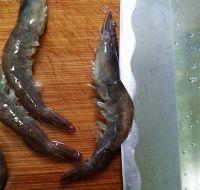 芝士香草焗对虾的做法步骤2