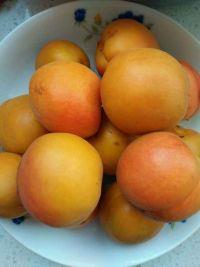 糖水黄杏的做法步骤2