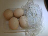 银鱼煎鸡蛋的做法步骤1