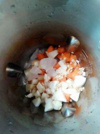 胡萝卜燕麦苹果汁的做法步骤2